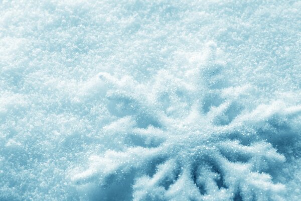 Un fiocco di neve di Capodanno malato sulla neve in inverno