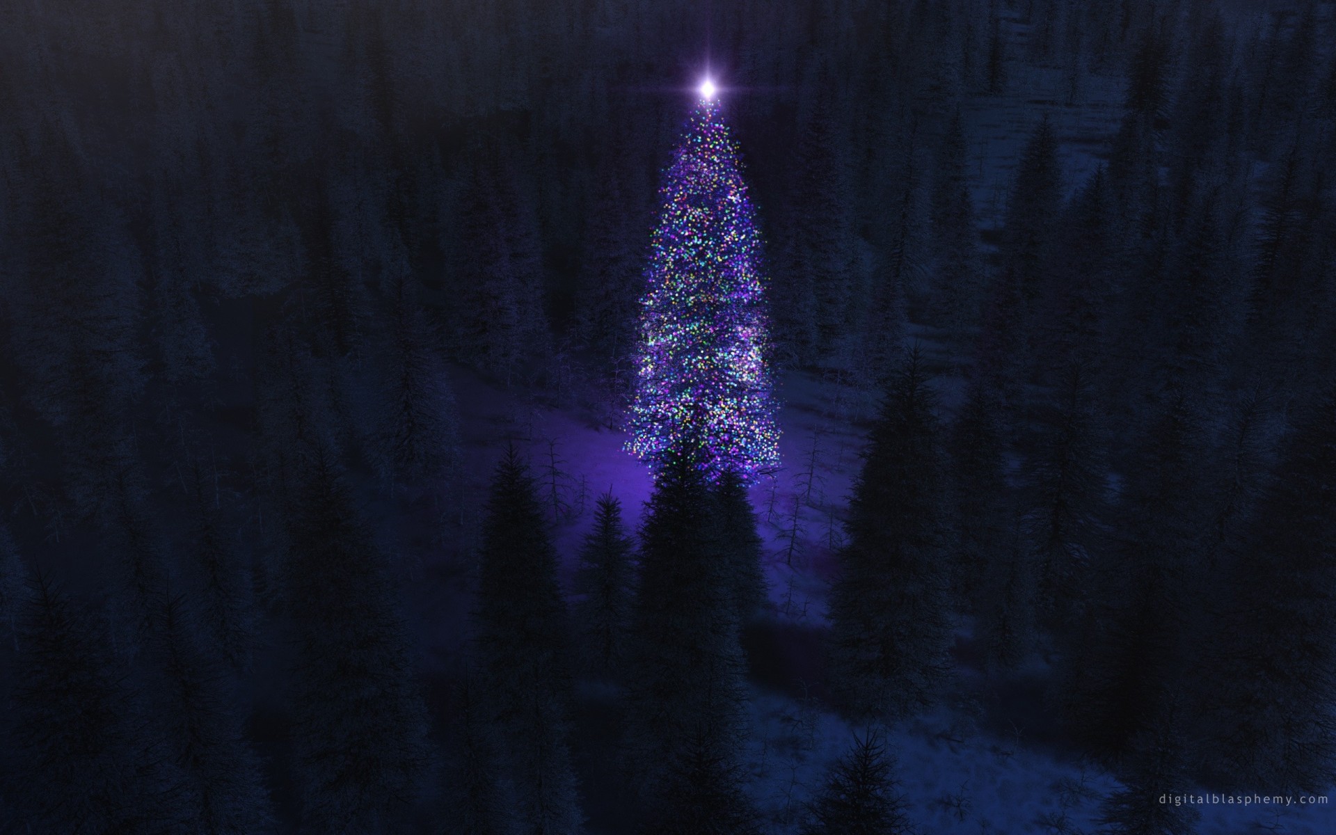 albero di natale notte foresta capodanno luci