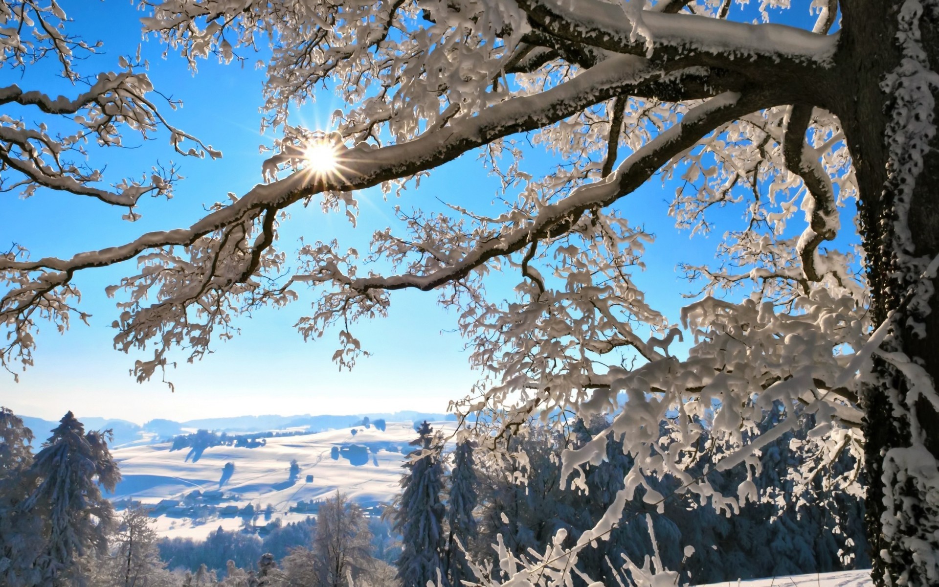 inverno natura paesaggio neve capodanno