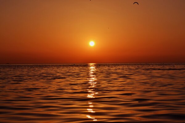 Bellissimo tramonto in vacanza