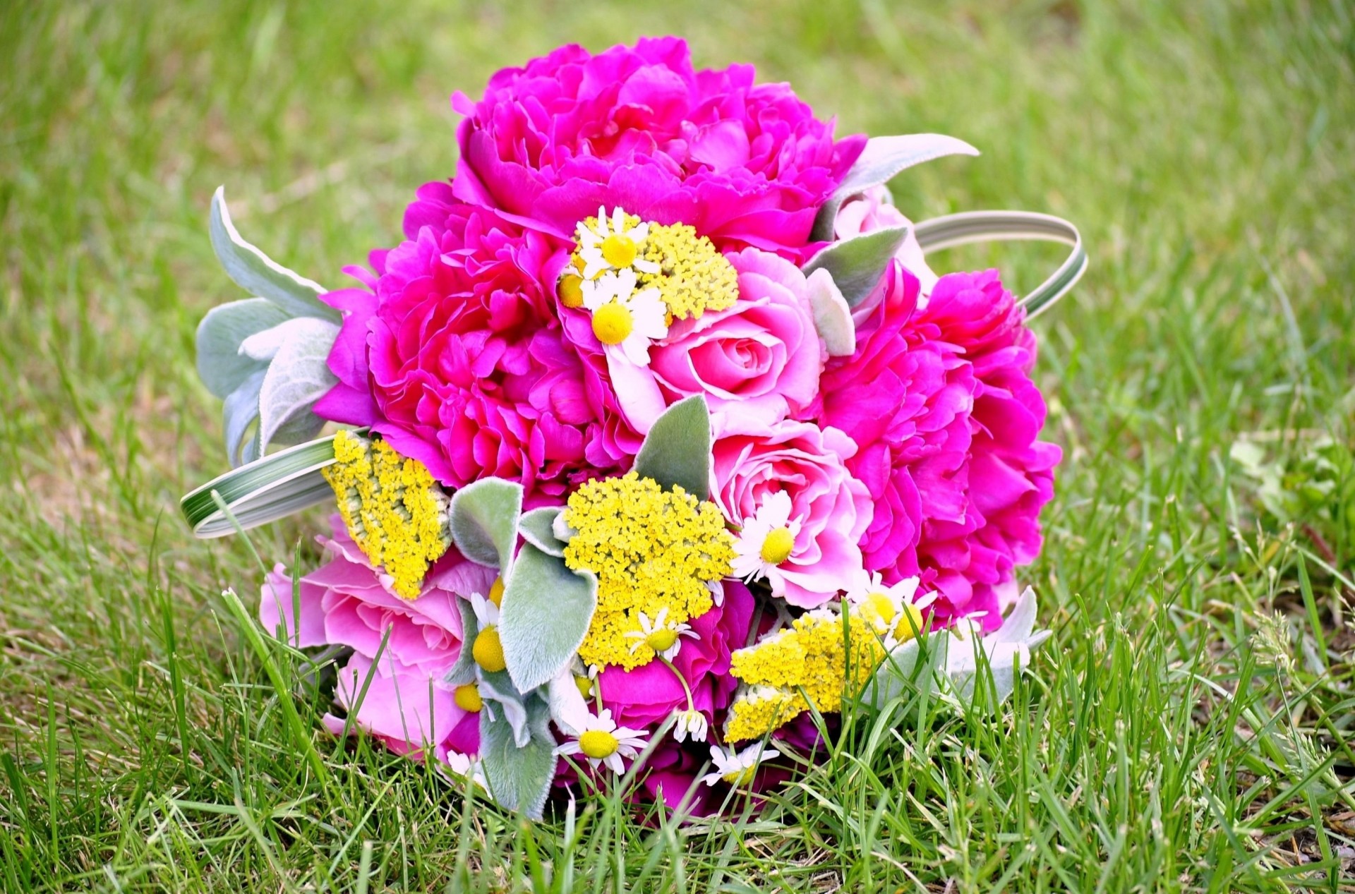 peonie rose margherite bouquet erba fiori