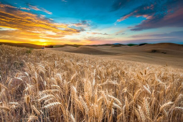 Paesaggio. campo colosistema tra le nuvole