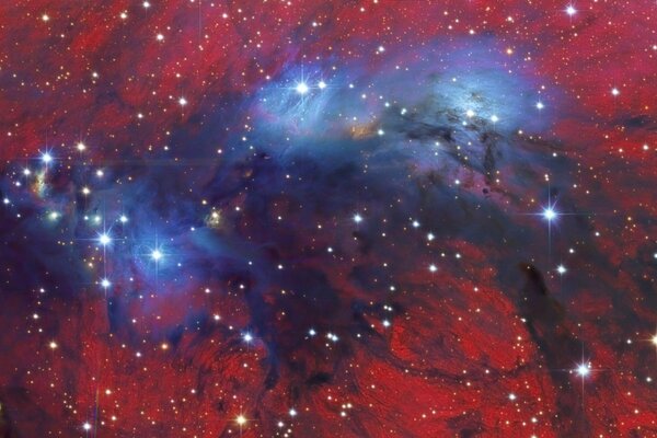 Cosmos bella vista della costellazione del cigno