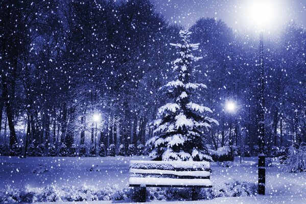Albero di Natale ricoperto di neve nel parco invernale