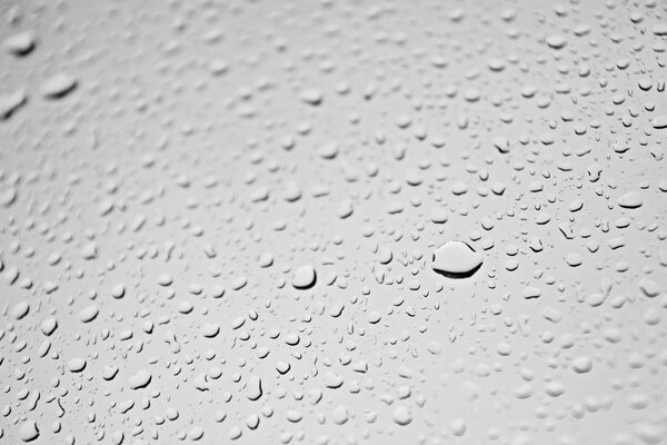 Gocce d acqua su sfondo grigio chiaro