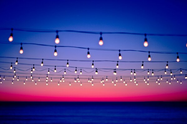 Lampade accese sui fili sullo sfondo del tramonto