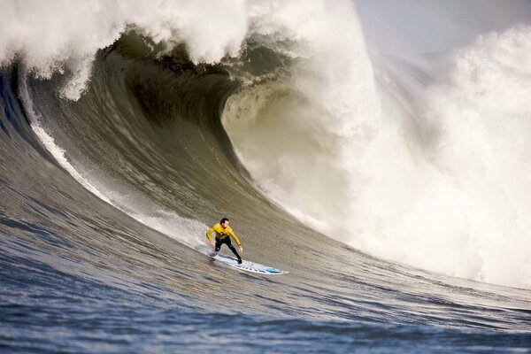 Surfista sulla tavola da surf cavalca l onda