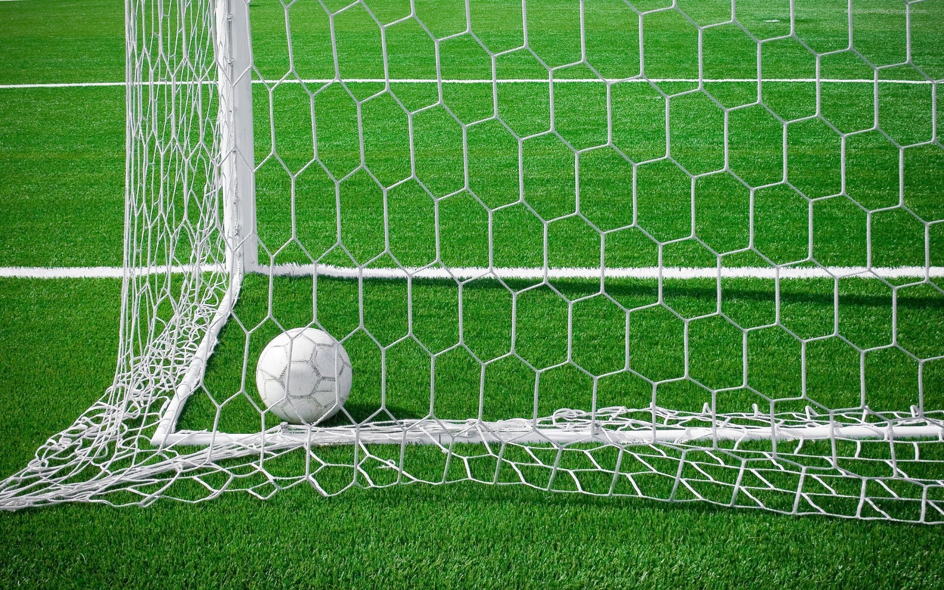 campo palla porta obiettivo rete stadio erba calcio