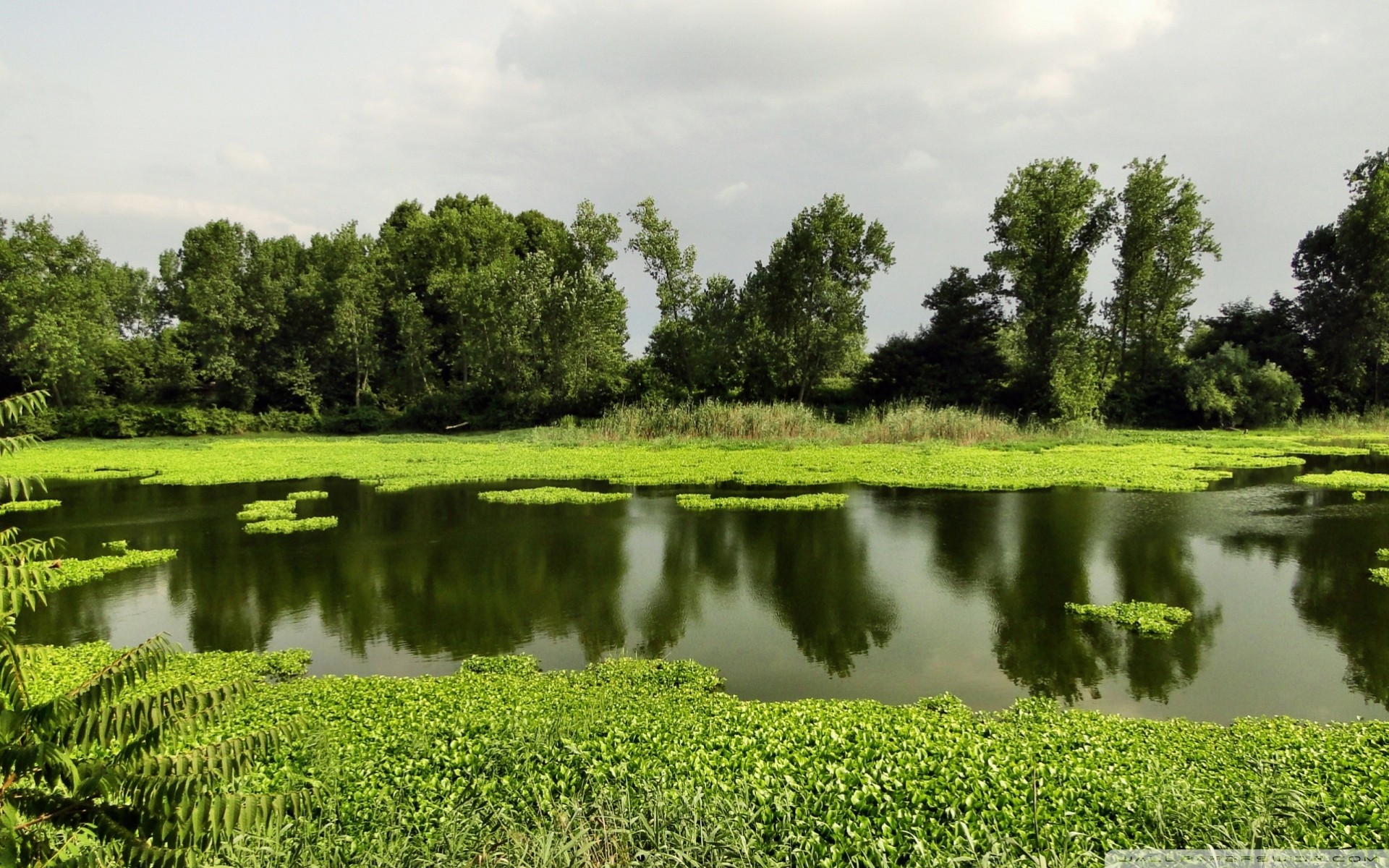 lago paesaggio estate natura