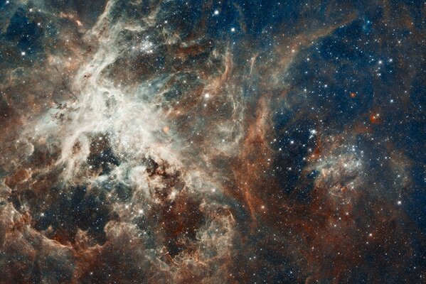 Nebulosa stellare della costellazione del pesce d oro