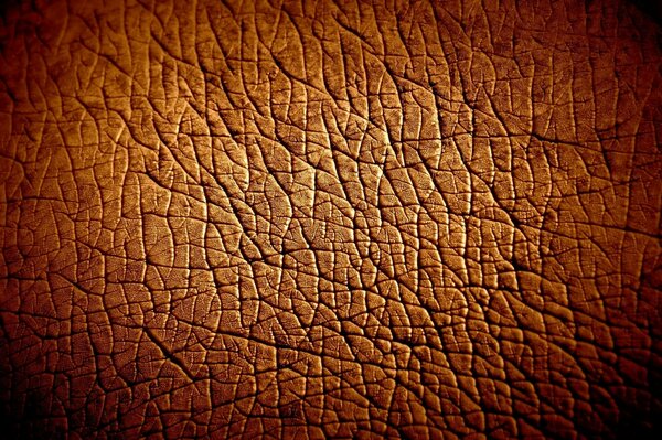 Materiale marrone simile alla pelle dell ippopotamo