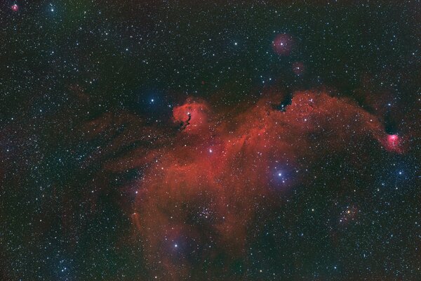 Nebulosa rossa gabbiano nello spazio