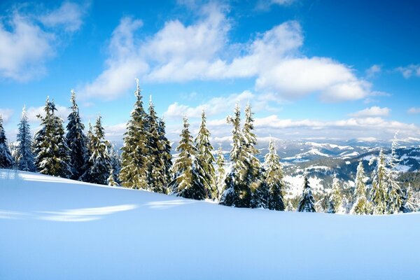 Paesaggio invernale contro il cielo blu