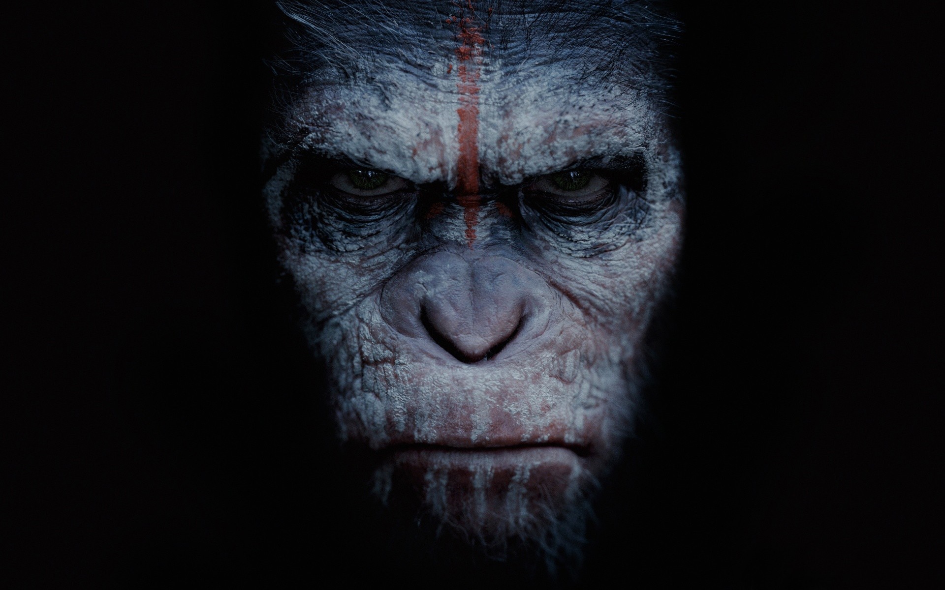 pianeta delle scimmie rivoluzione specie animali fantascienza scimmia