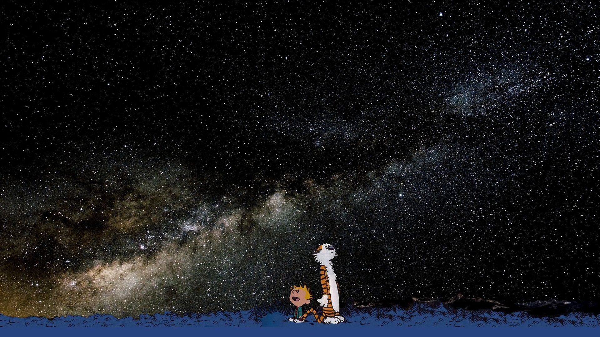 calvin e hobbes calvin e hobbes hobbes ragazzo stelle tigre