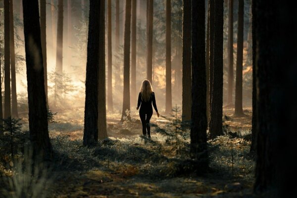 Ragazza nella foresta. nebbia in più spesso