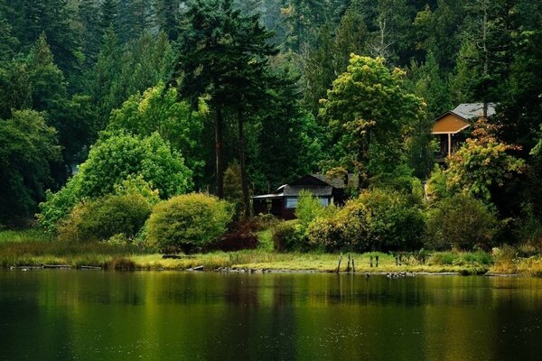 Accogliente casa sulla riva del fiume nella foresta verde