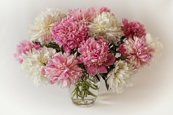 Bouquet di peonie rosa e bianche in vaso