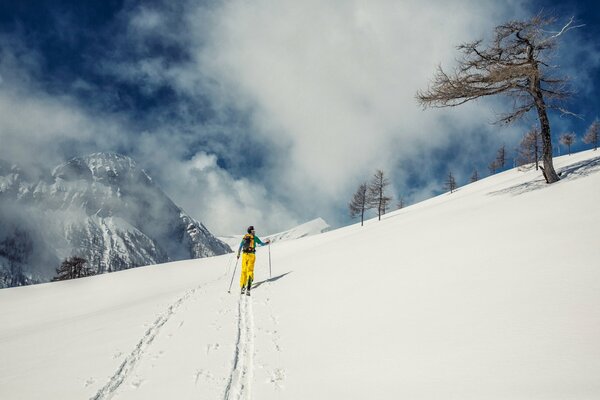 Sciatore in cima alla montagna