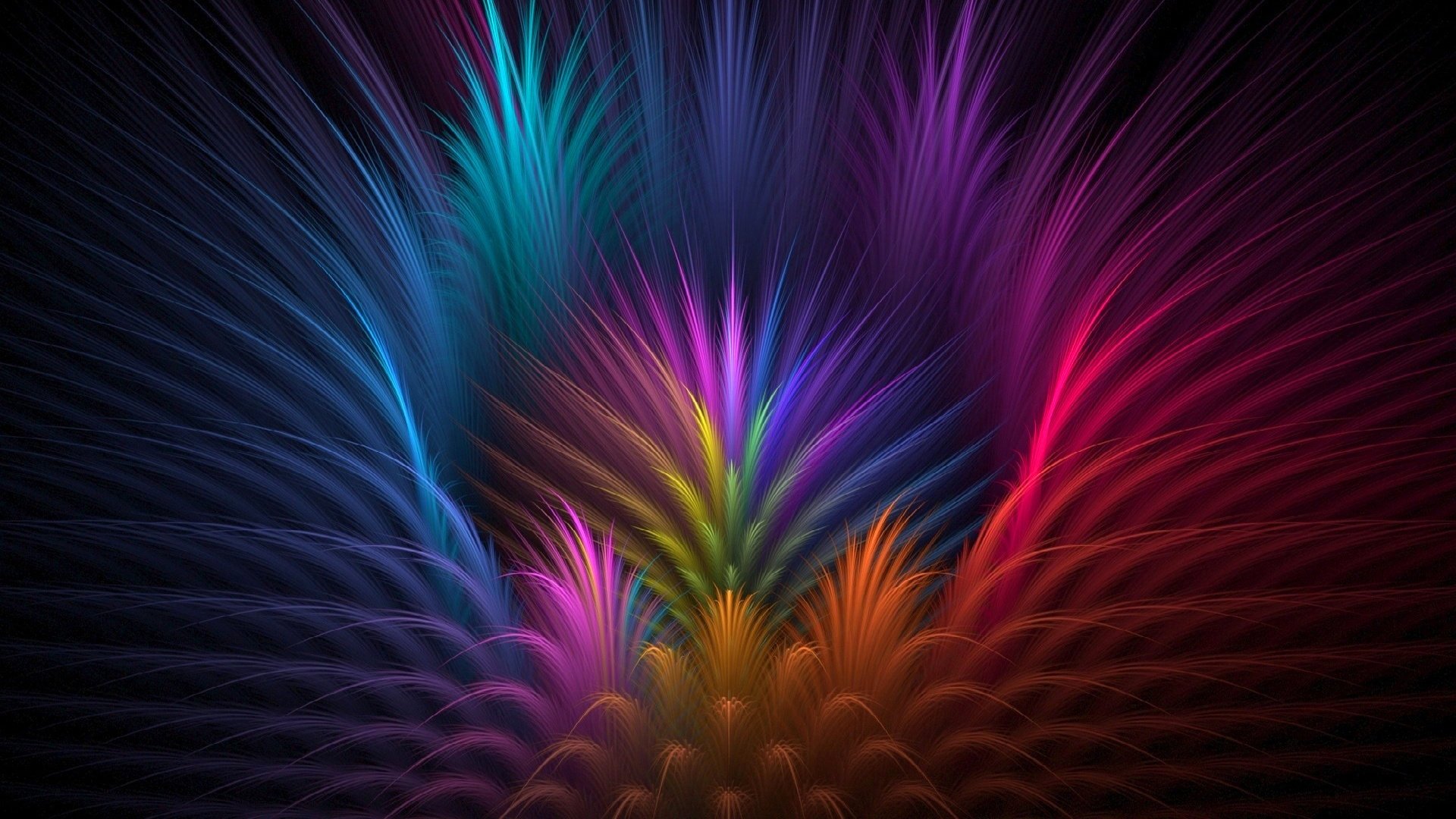 colore luce raggi petali linee piume volume fiore
