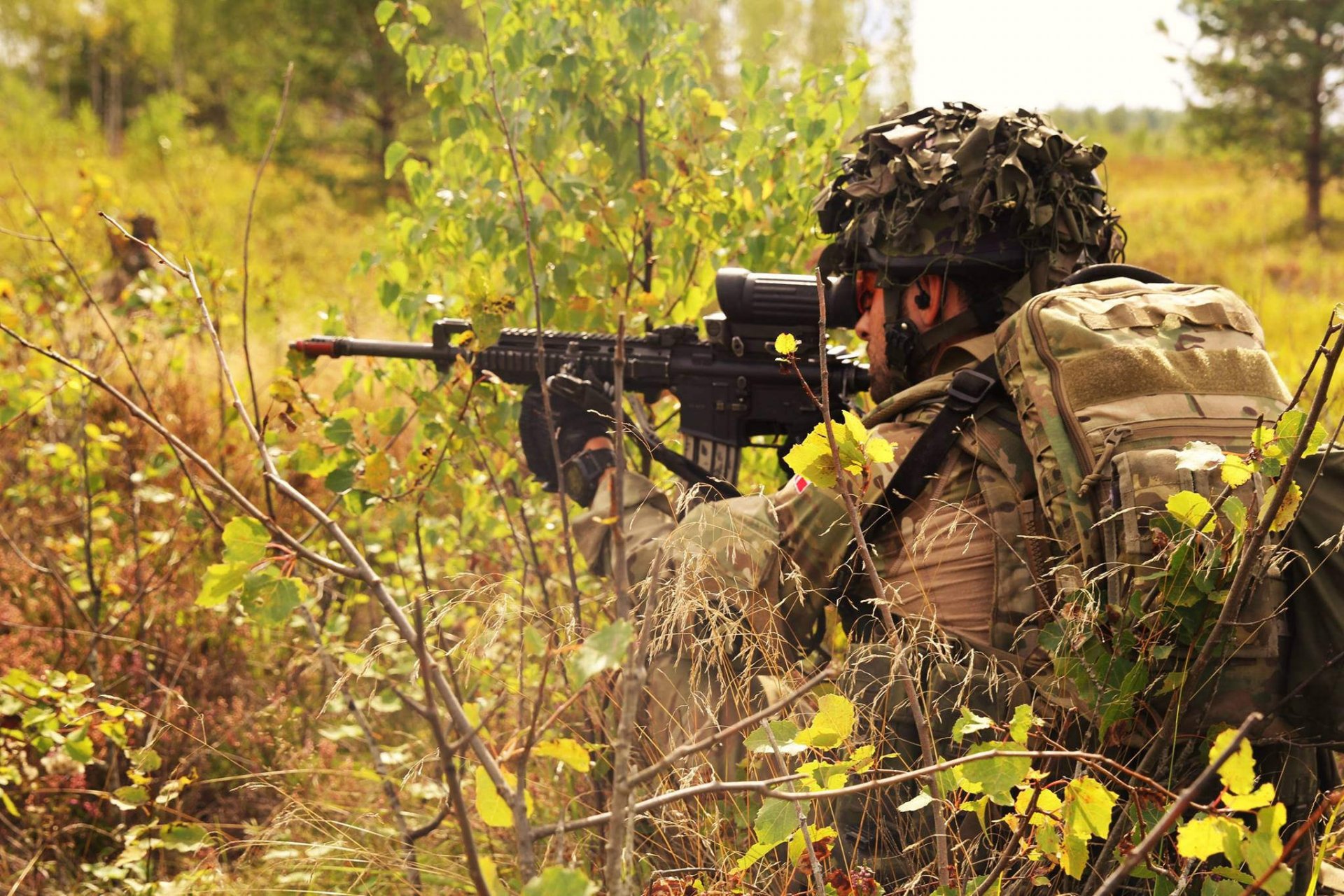 esercito danese soldato armi