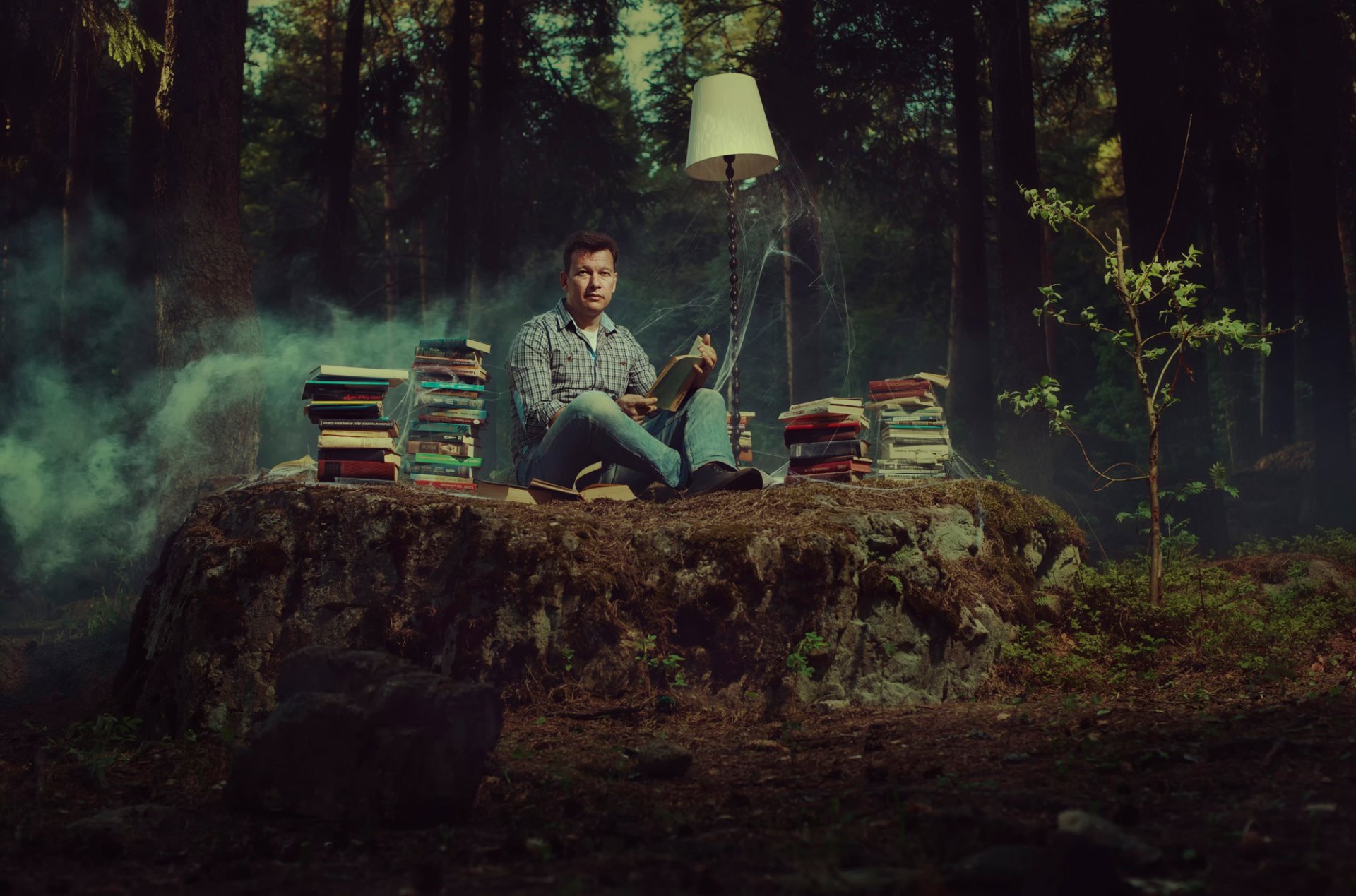 libri lampada ragnatela foresta amante dei libri lettura