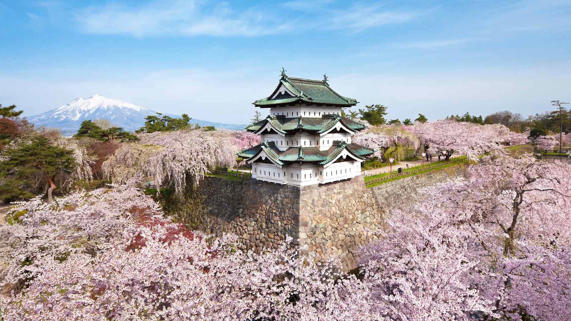 primavera giappone fioritura