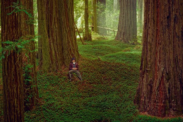 Ipnotizzante servizio fotografico profondo di Brad Pitt