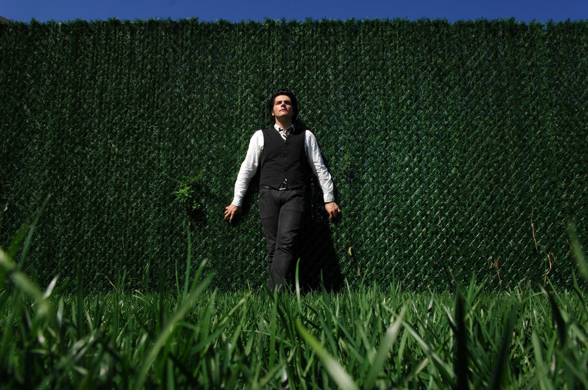 my chemical romance gerard way erba verde muro