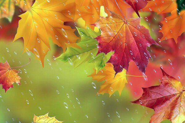 Colori di autunno-giallo, rosso, verde