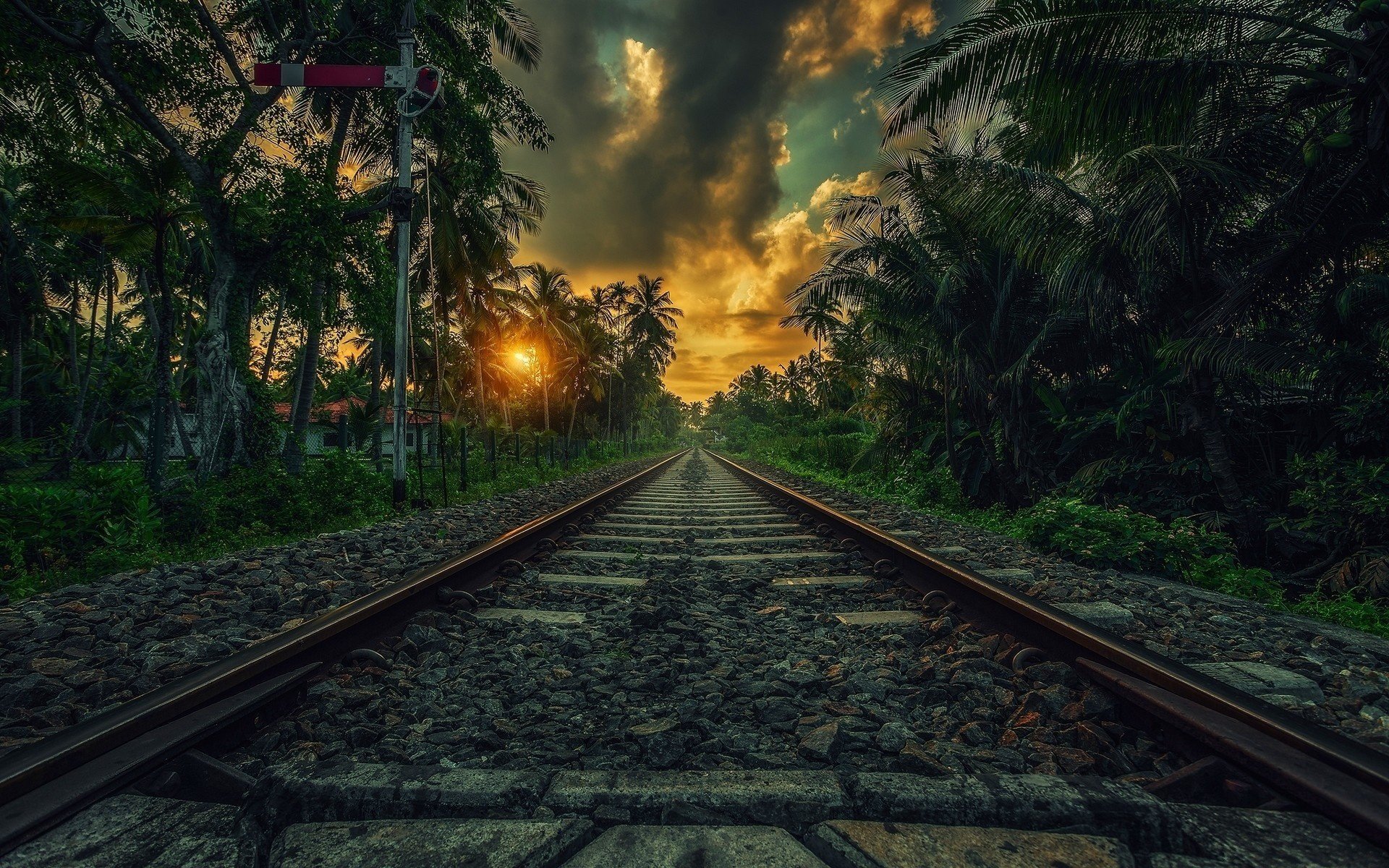 ferrovia ferrovia struttura superiore del percorso controrotaia passaggio a livello percorso rotaie resort palme tramonto bellissimo