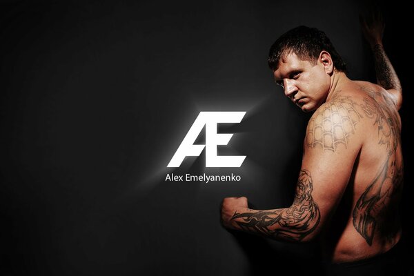 Alexander Emelianenko nelle arti marziali miste