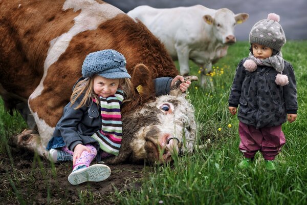 Ecco i bambini, hanno sconfitto la mucca