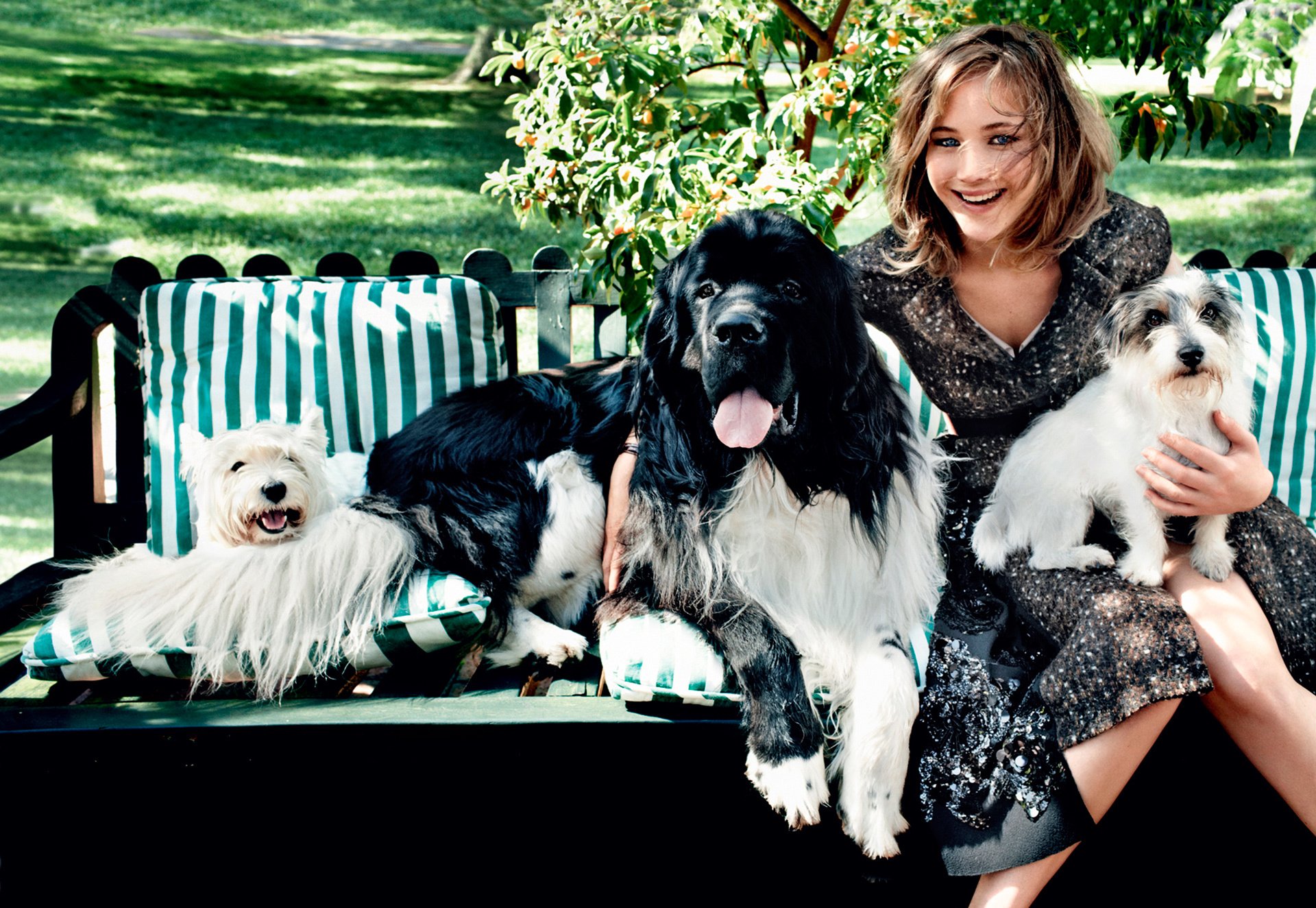 jennifer lawrence cani risate moda