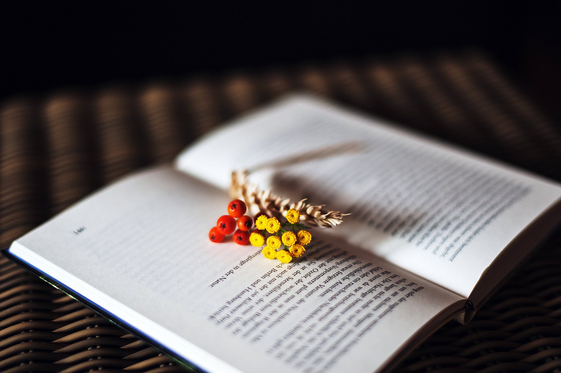 libro fiori testo pagine spighetta bacche