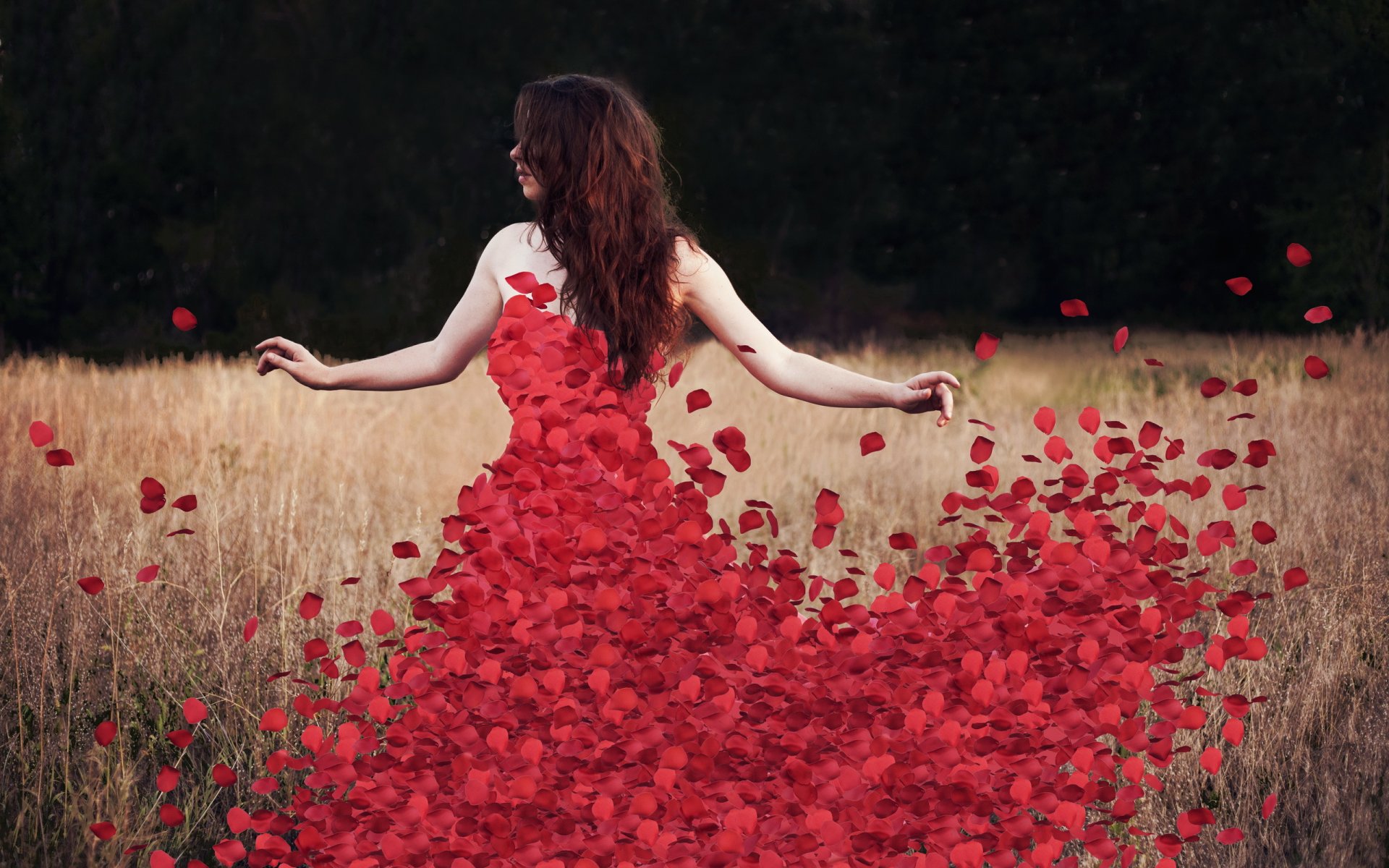 fiori rosedress petali