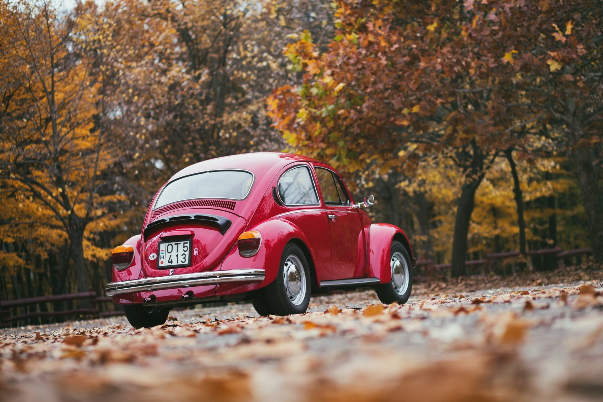 volkswagen retro autunno rosso posteriore foglie