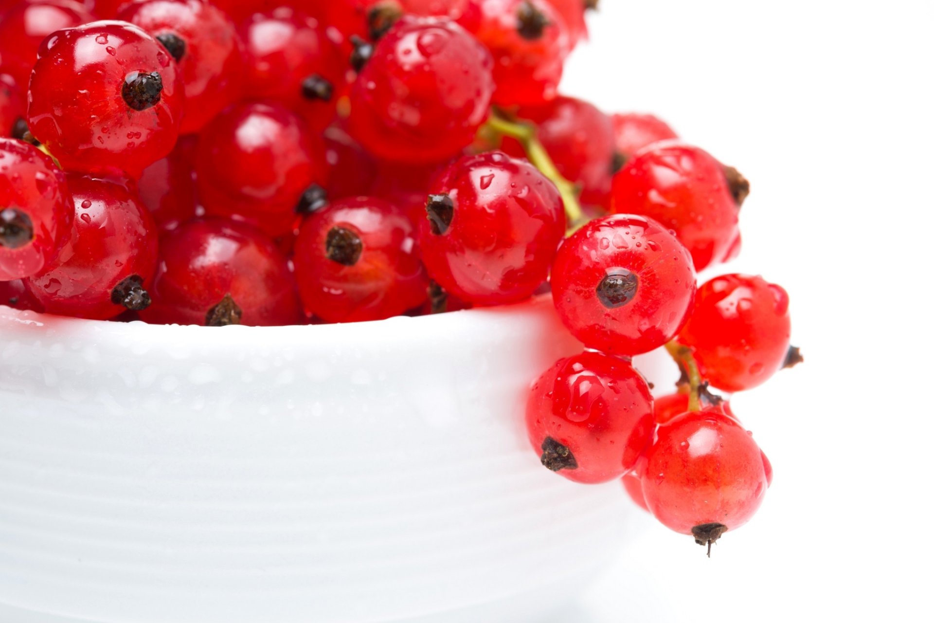 ribes rosso bacche macro gocce piatto