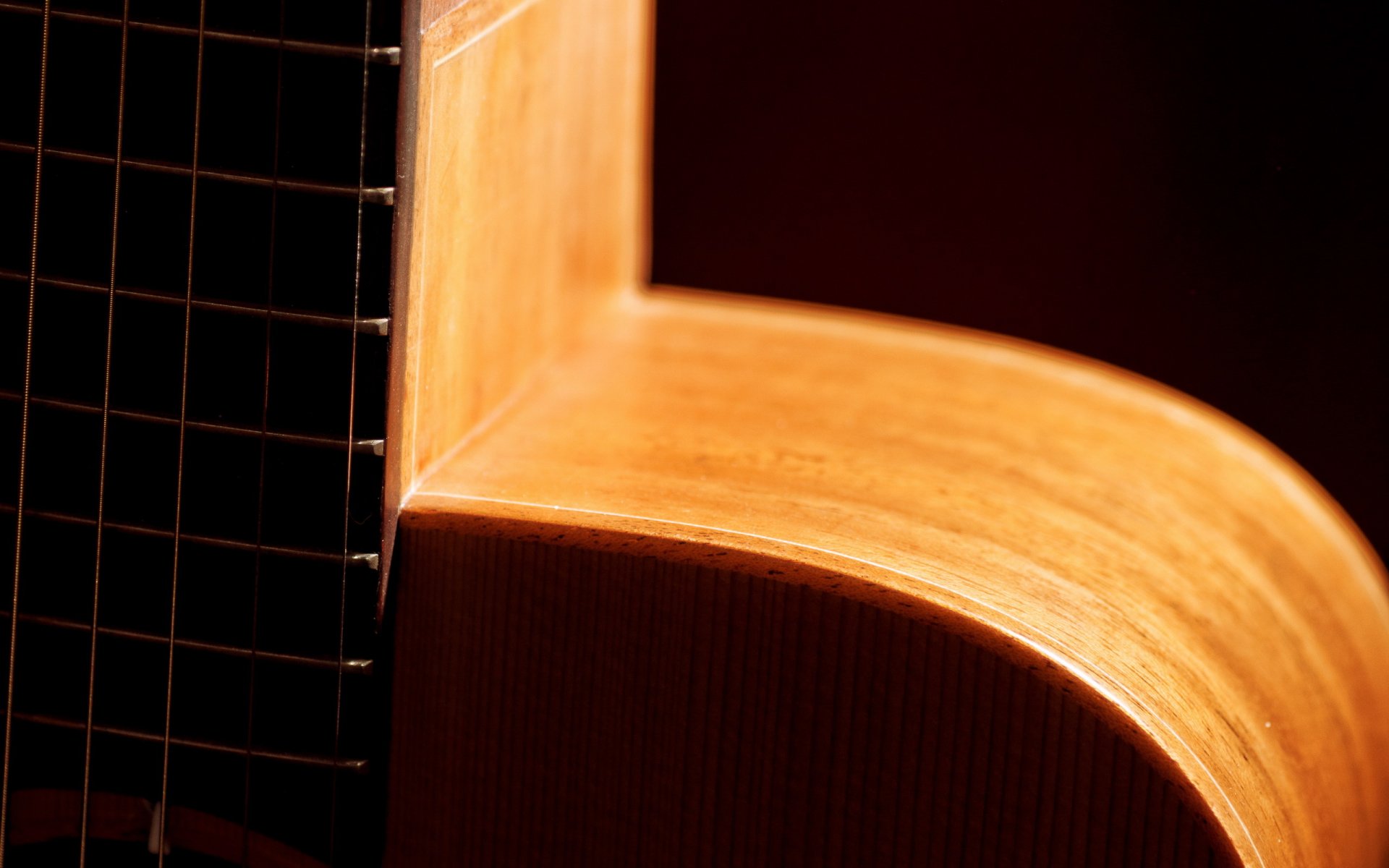 chitarra macro musica