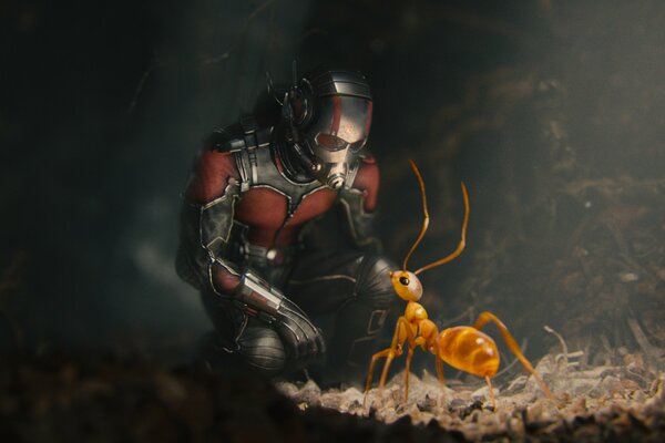 Il supereroe Marvel si è accovacciato davanti alla formica