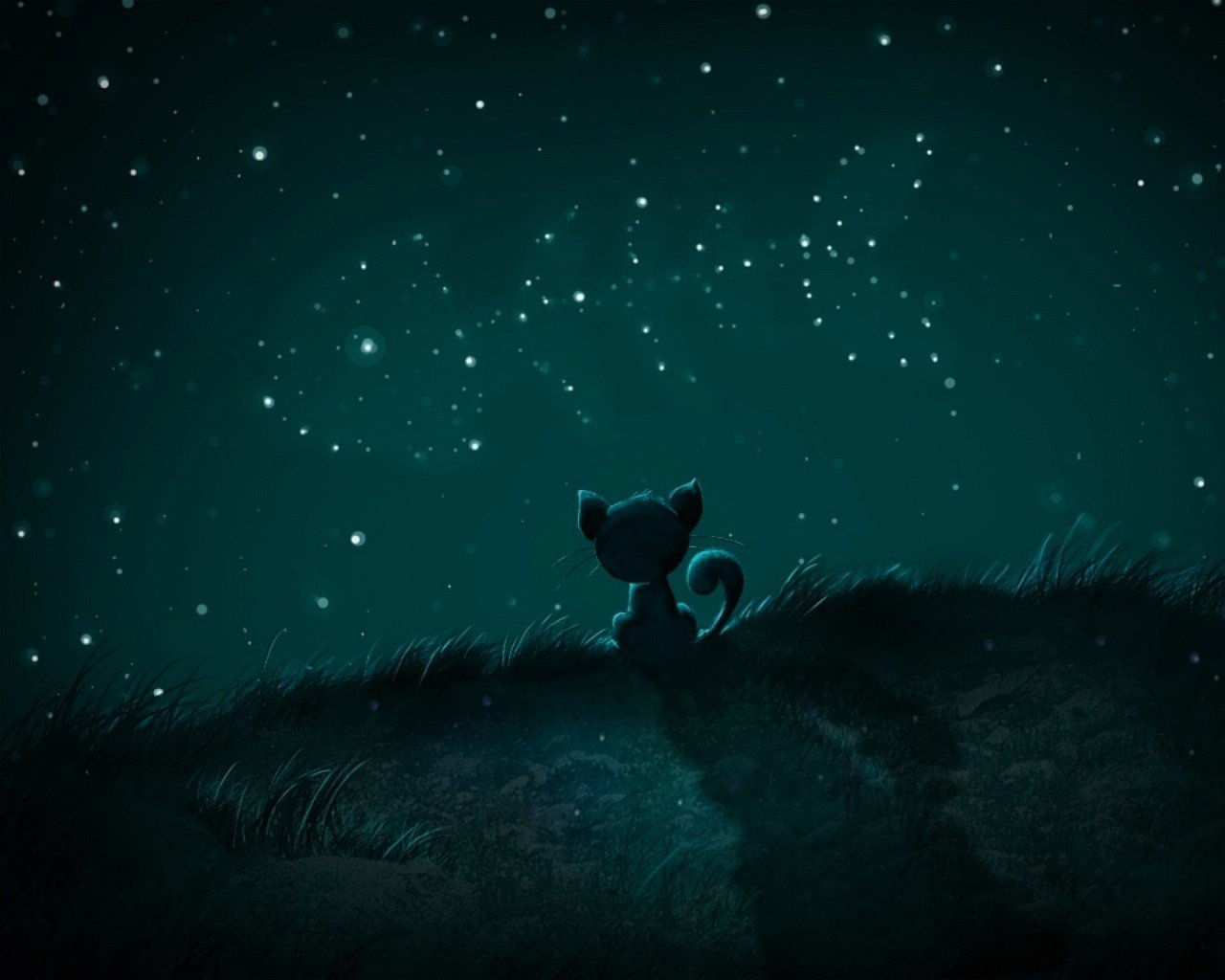 notte koshak pesce stelle