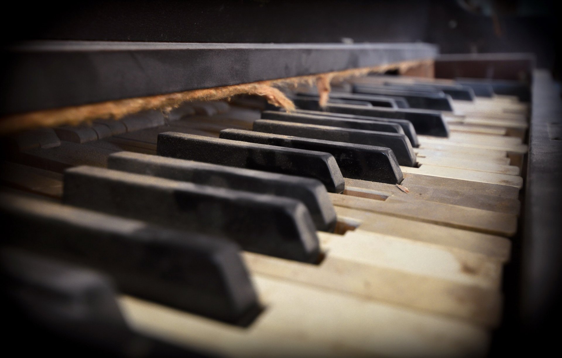 pianoforte musica macro
