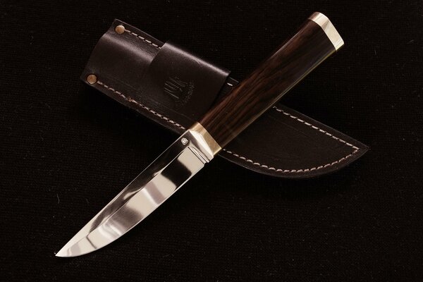 Bellissimo coltello sullo sfondo del fodero
