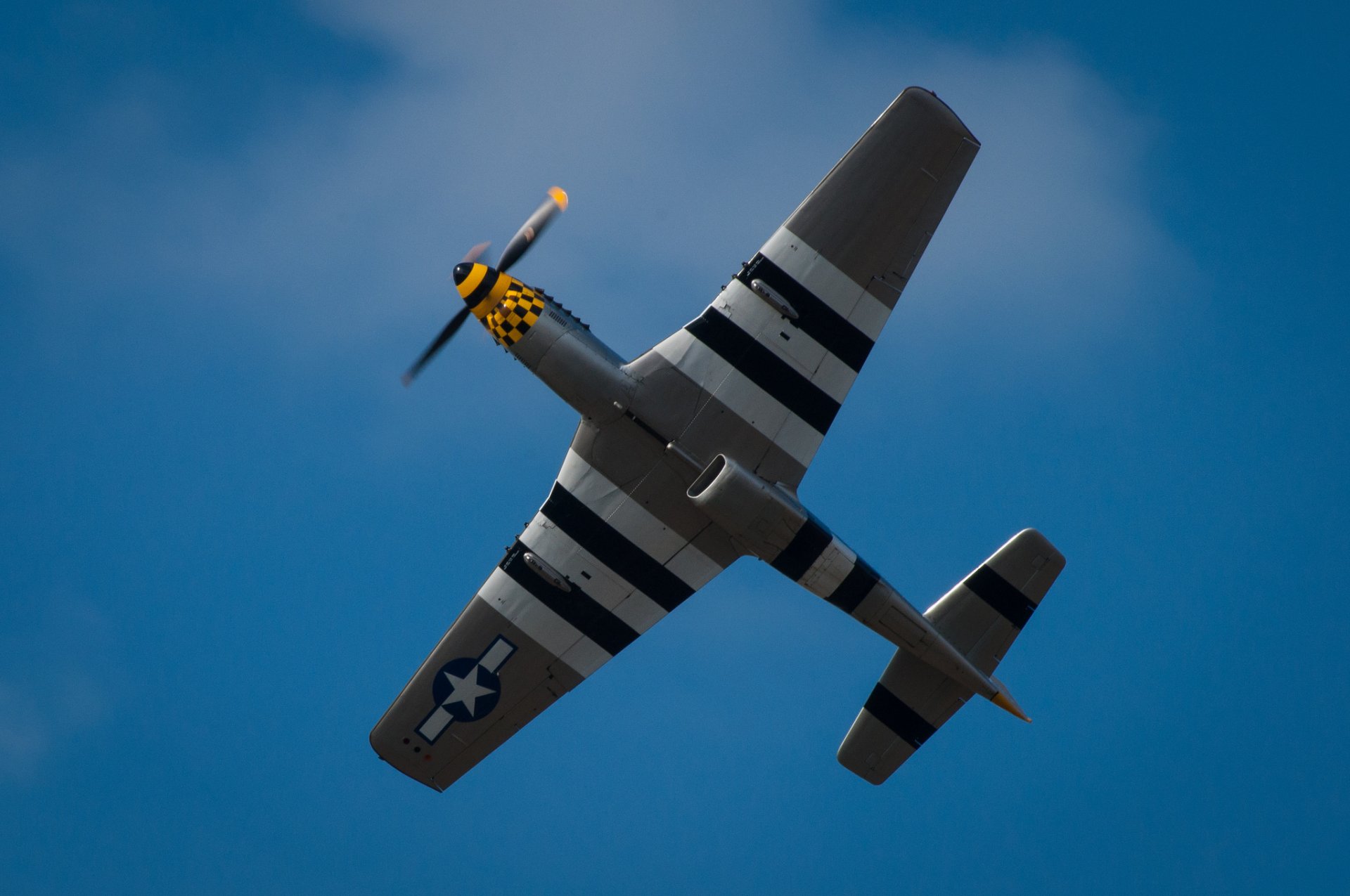r-51d mustang monoposto caccia ali