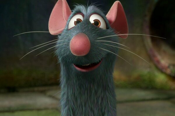 Cartone animato con cornice del mouse Ratatouille