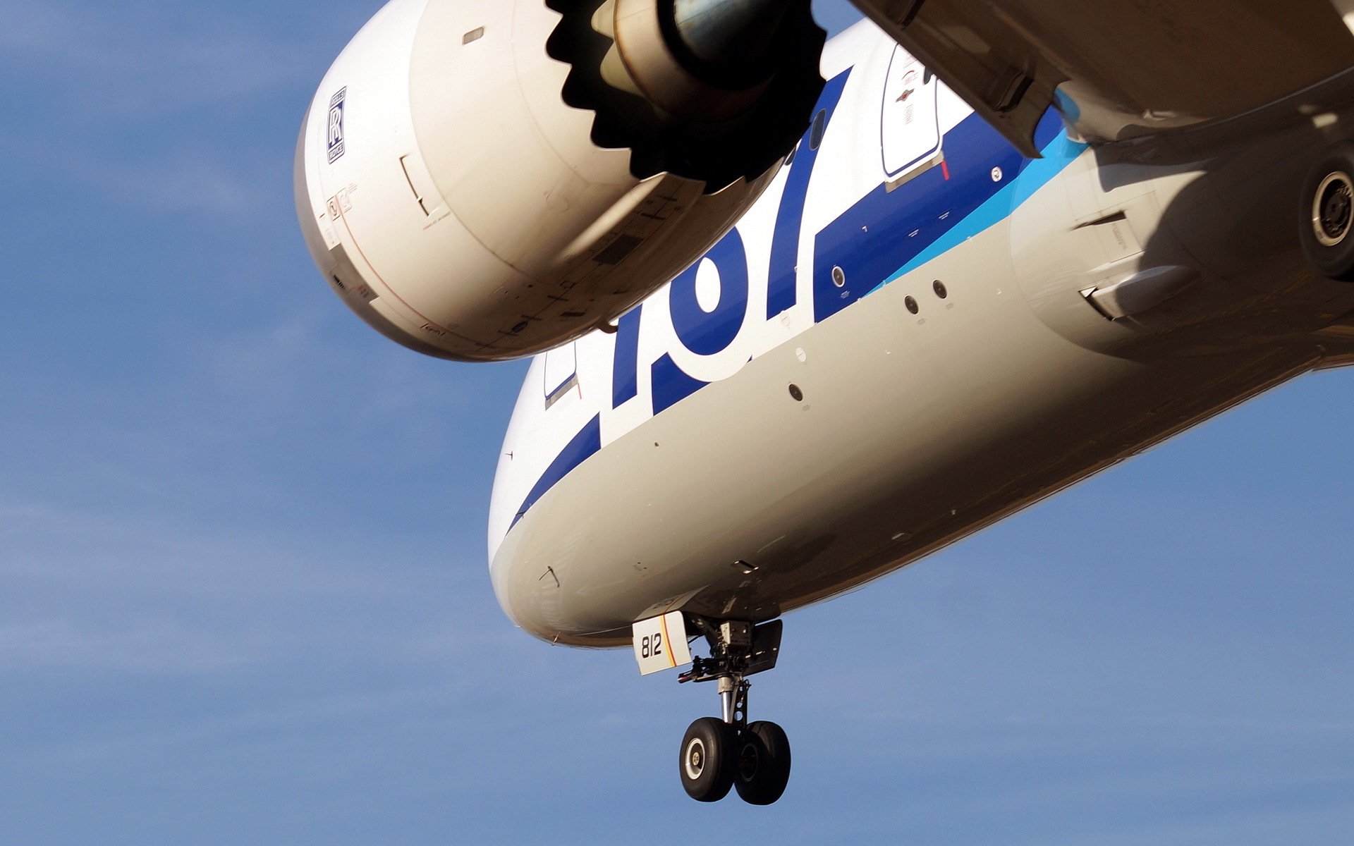 boeing 787 aereo aviazione cielo