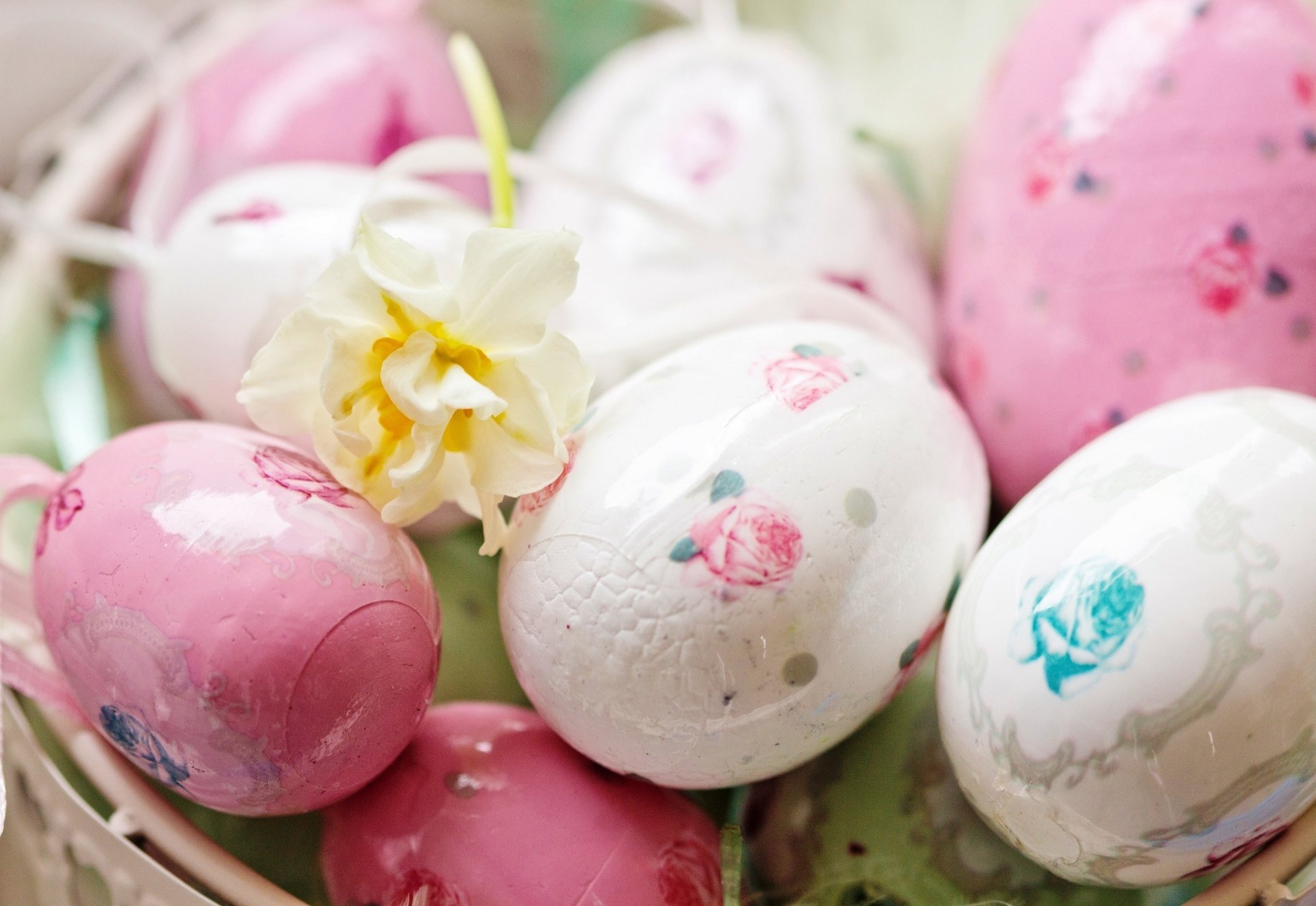 pasqua vacanza primavera uova pasqua rosa verde pittura fiore bianco