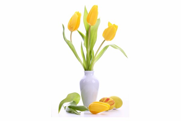 I tulipani gialli più teneri in un vaso bianco