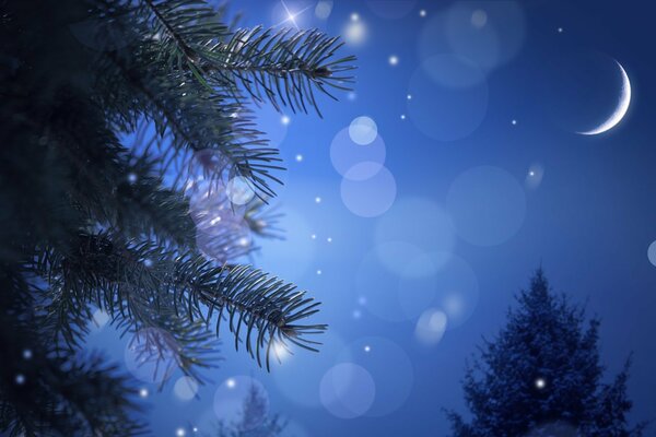 Un mese nel cielo di Capodanno