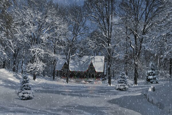 Casa nella foresta innevata invernale